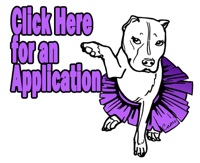 Adoption Application.pdf